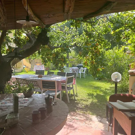 La Chiave Di Violino *