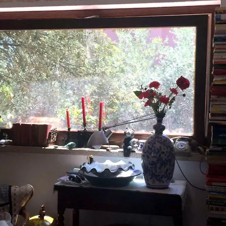 La Chiave Di Violino *